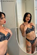 Foto Nick Miller Annunci Transescort Verona - 70