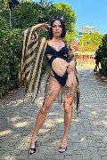 Foto Nick Miller Annunci Transescort Verona - 80