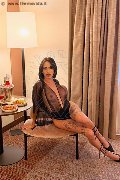 Foto Nick Miller Annunci Transescort Verona - 39