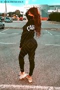 Foto Safina Annunci Transescort Torino - 63