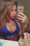 Rimini Trans Escort Alessandra Toledo Pornostar 339 67 43 933 foto selfie 156