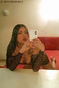 Cosenza Trans Kelly Miller 350 88 85 328 foto selfie 22