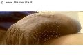 Prato Trans Escort Lucrezia Hikman 351 29 44 990 foto selfie 101
