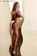 Sanremo Trans Vivy Noronha 333 18 67 209 foto selfie 10