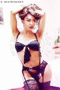 Foto Tain� Oliveira Annunci Transescort Prato - 58