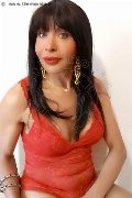 Foto Tain� Oliveira Annunci Transescort Prato - 50