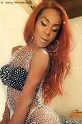 Foto Wanessa Ambrosio Annunci Transescort Frosinone - 205
