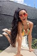 Foto Wanessa Ambrosio Annunci Transescort Frosinone - 3
