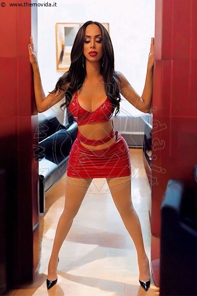 Estella COMO 3384133447